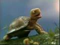 Classic Sesame Street Shelley Turtle Sings I Get There
