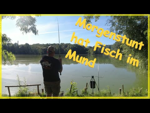 Easy fishing in summer early in the morning