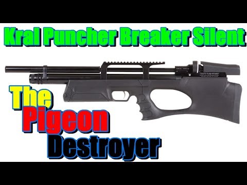 Kral Puncher Breaker Silent Synthetic .22 pest control