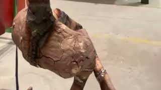 Bronzeguss