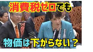 【参政党】食料品の消費税ゼロでも物価下がらない？安藤裕が斬る減税の真実【国会中継】