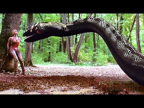 Giant Snake VS Humans | Anaconda 3 Best Scenes 🌀 4K
