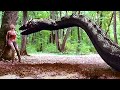 Giant Snake VS Humans Anaconda 3 Best Scenes 4K
