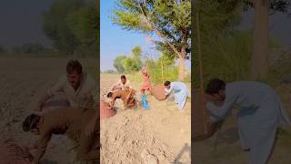 Download lagu ONo😭😱end of life#shortvideos #shorts mp3 Download lagu ONo😭😱end of life#shortvideos #shorts mp3