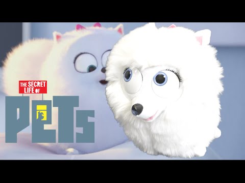 secret life of pets gidget plush