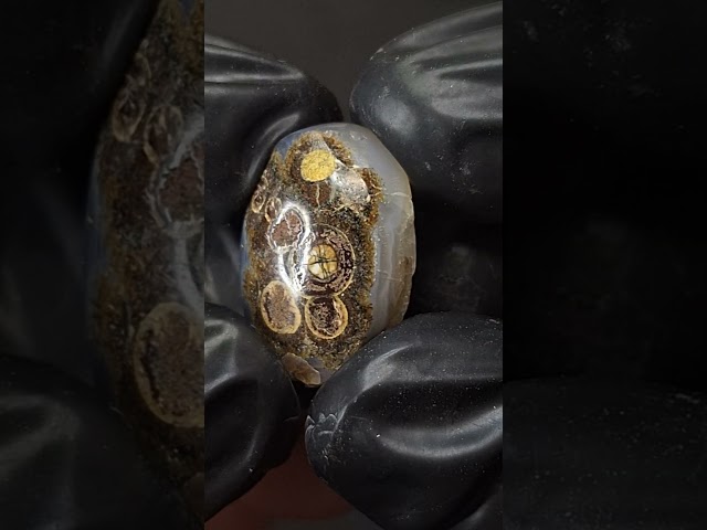 حجر عقيق داؤدي طبيعي