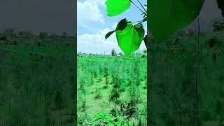 Download lagu 1991-Ennarukil Nee Irunthal-Oh Unnala'-Uma Ramanan,- Mano mp3 Download lagu 1991-Ennarukil Nee Irunthal-Oh Unnala'-Uma Ramanan,- Mano mp3