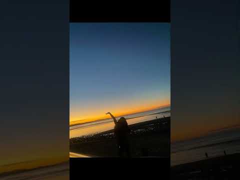 Te bus ae katabetabe