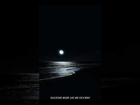 LO QUE SÉ // REPTYL