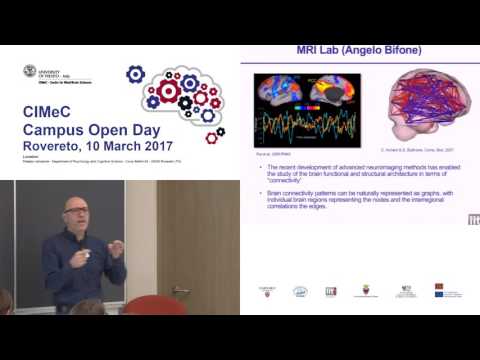 Alessandro Gozzi - IIT labs - Rovereto, 10 March 2017