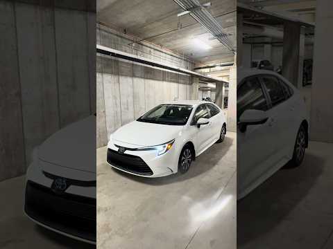 2023 Toyota Corolla in White for sale at North London Toyota in London, ON