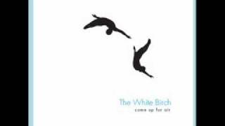 Silent Love-White Birch