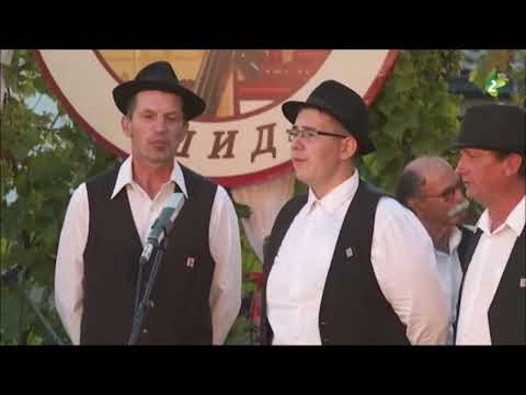 ZDRAVI OSTAVAJCE - Hlopska grupa KUD "Jakim Hardi", Petrovci, Horvatska