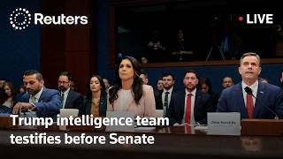 LIVE: Trump intelligence team testifies before Senate