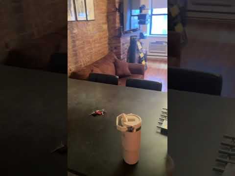 video 1