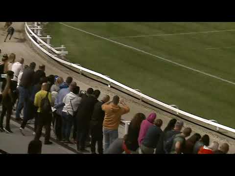 2021.09.10. 02. futam - Európa Derby Elődöntő Sprint II. futam