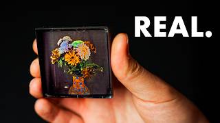 You've Never Seen a Real Photo thumbnail