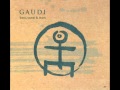 Gaudi - Theremystical