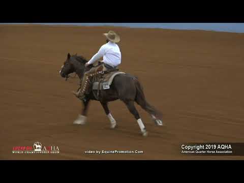 SJR SMOOTH RIO shown by MATT KOCH - 2019 AQHA World Show Jr Working Cow Horse, Prelims
