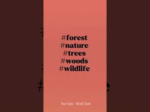 Top 10 Hashtags For Forest 🌳 | #forest #nature #shorts