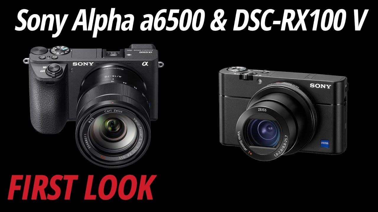 Фотоаппарат Sony Alpha a6500 body (