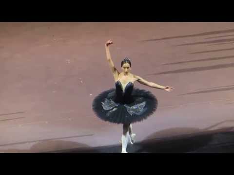 Maria Allash - Swan Lake