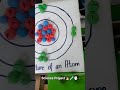 Structure Of An Atom Science Project Shorts Projectideas Scienceproject