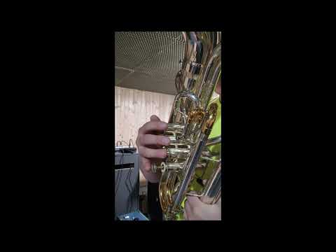 Bei uns Daheim - Erich Moser Trio