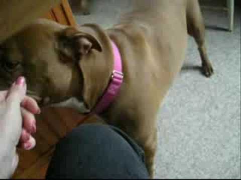 Kokoa Girl loves her toys