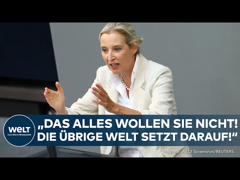 BUNDESTAG: Alice Weidels Rede richtet sich an CDU! Kern- und Kohlekraftwerke? "Das wollen Sie nicht"