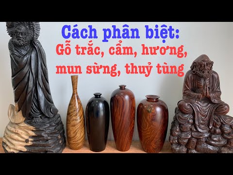 Top 5 loại gỗ quý nhất Việt Nam và cách phân biệt khi chọn đồ mỹ nghệ