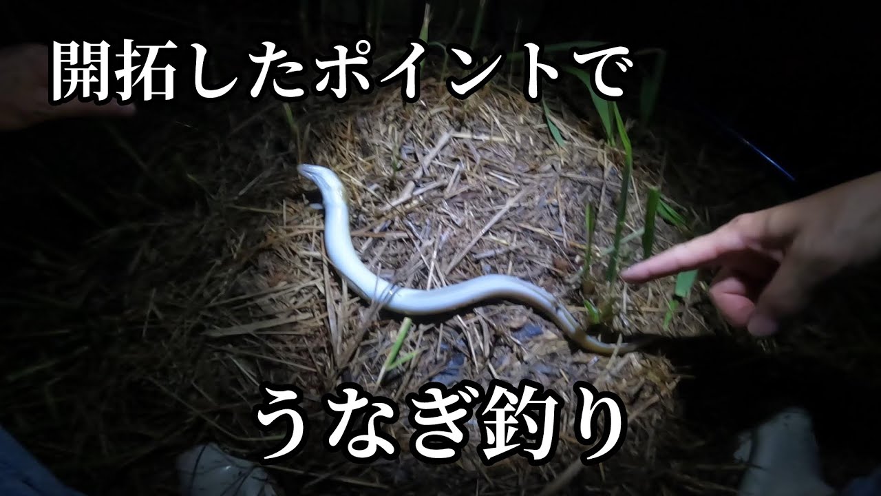 雨上がりの好条件でアタリが連発しました