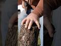 Chopping Wood With The Worlds Largest Hands