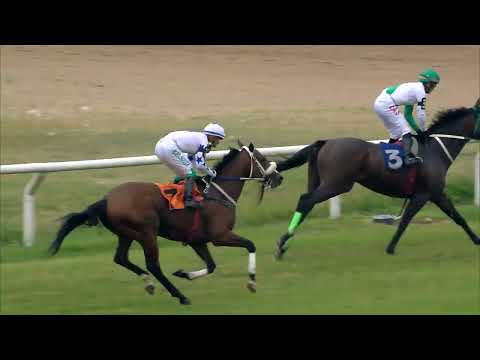 221113 c09 MJ Debernardis/ JUMBO (BRZ)