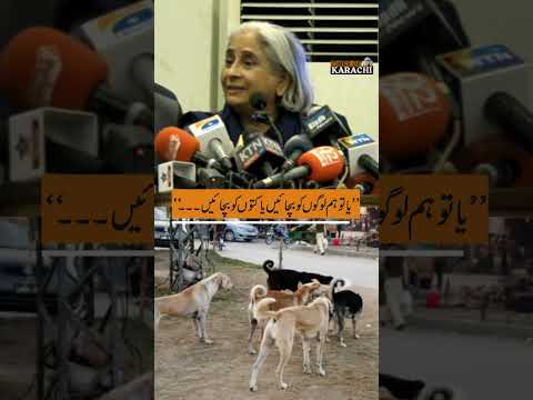 Cuando se llama a los perros asesinos, los activistas por los derechos de los animales interviene...