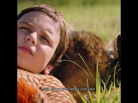 This dog waited for its owner at the airport for two years. #movie #film