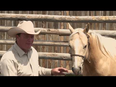 Ken McNabb: Colt Starting (Part 5 of 7) - Saddling for the First Time