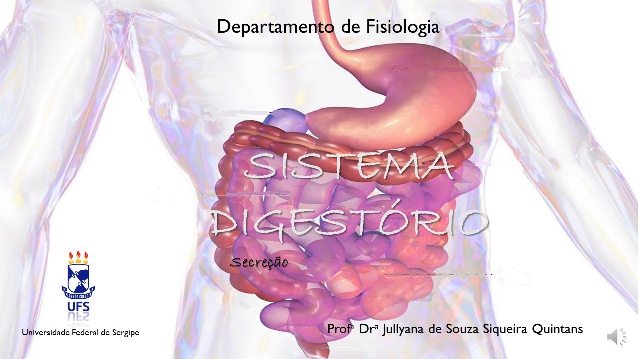 MÓDULO 2 Aula   8c TGI Secreção