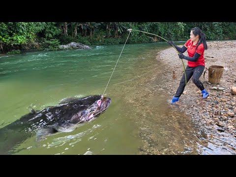 Harvesting 1000kg Giant Monster Catfish Goes to Market Sell | fishing on the River | Chúc Thị Dương