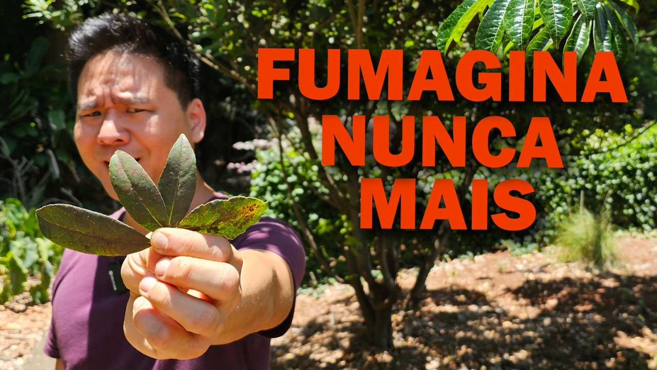 Put an end to SOOTHEY