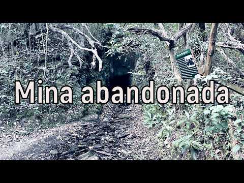 Explorando una antigua mina de manganeso escondida en el bosque | Lavalleja, Uruguay