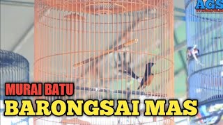 Download lagu Murai Batu - Barongsai Mas mp3