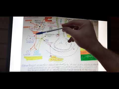 FARMACOLOGIA - AULA 5 - Parte 1