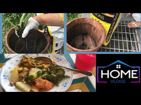 Pakistani Vlog | Growing Aloe Vera Plant | my lunch Video