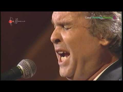 Bulerías. Curro Malena. 1999