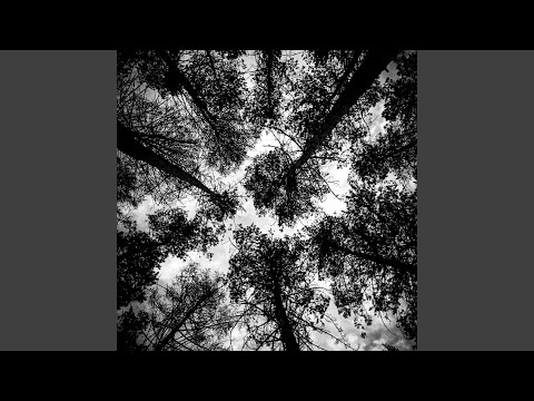 Давай позже (feat. NEONBOY/NIGHT)