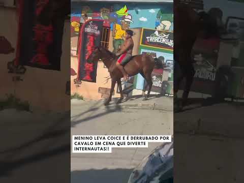 Menino leva coice e é derrubado por cavalo em cena que diverte internautas!! #viralvideo #viral