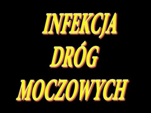 Kulturystyka bez chemikaliów strata czasu Jak budować mięśnie szybko kobieta