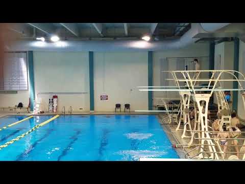 2017 UNCW Men's 3m - Dive 5 5132D