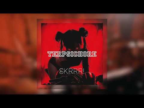 (FREE FOR PROFIT) Hard Rage Type Beat Playboi Carti x WRL - "SKRRR!" | Free Rage Type Beat 2024